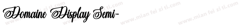 Domaine Display Semi字体转换